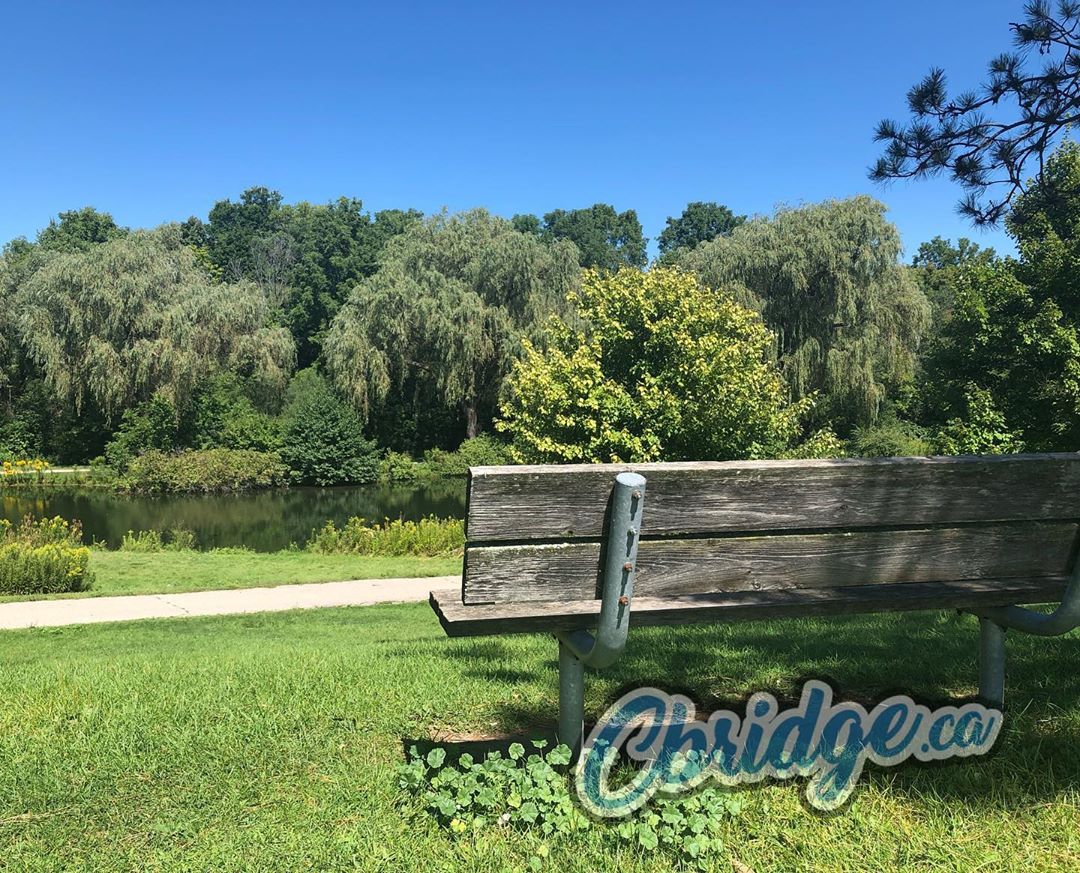 TRIVIA TIME: Steps from the hustle and bustle of a major road, this bench offers a quiet spot in the middle of a busy day. Where am I? #cbridge